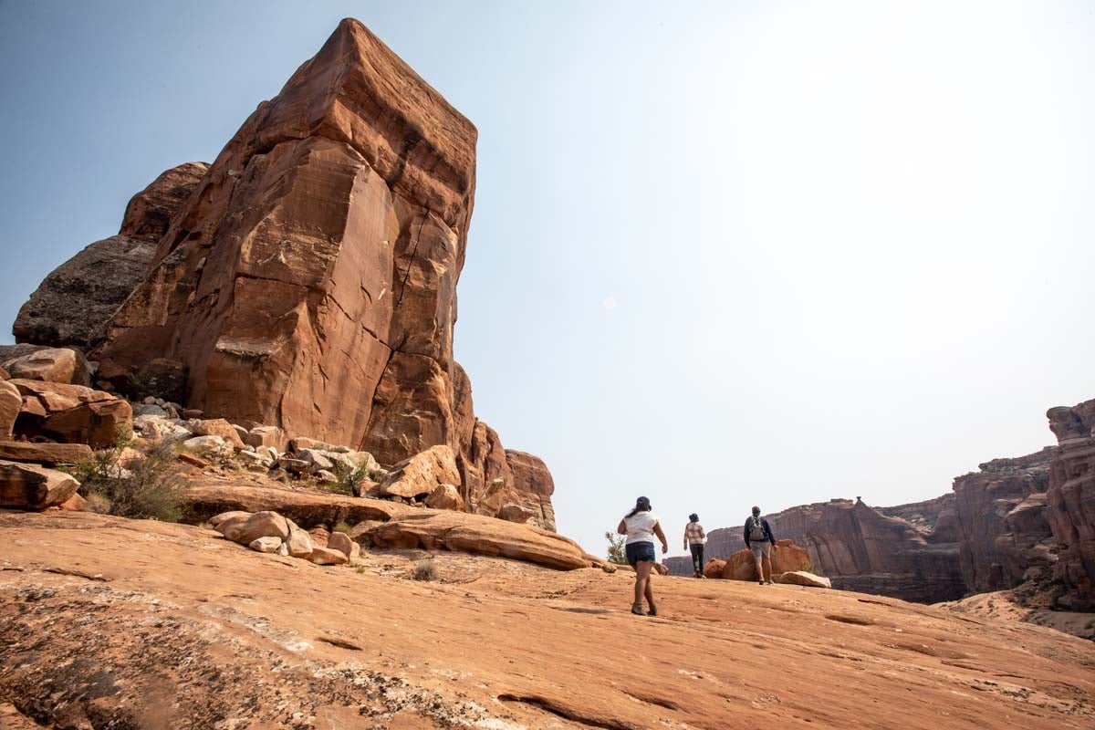 PhD Program Earth, Environmental and Sciences Wiess School of Natural Sciences